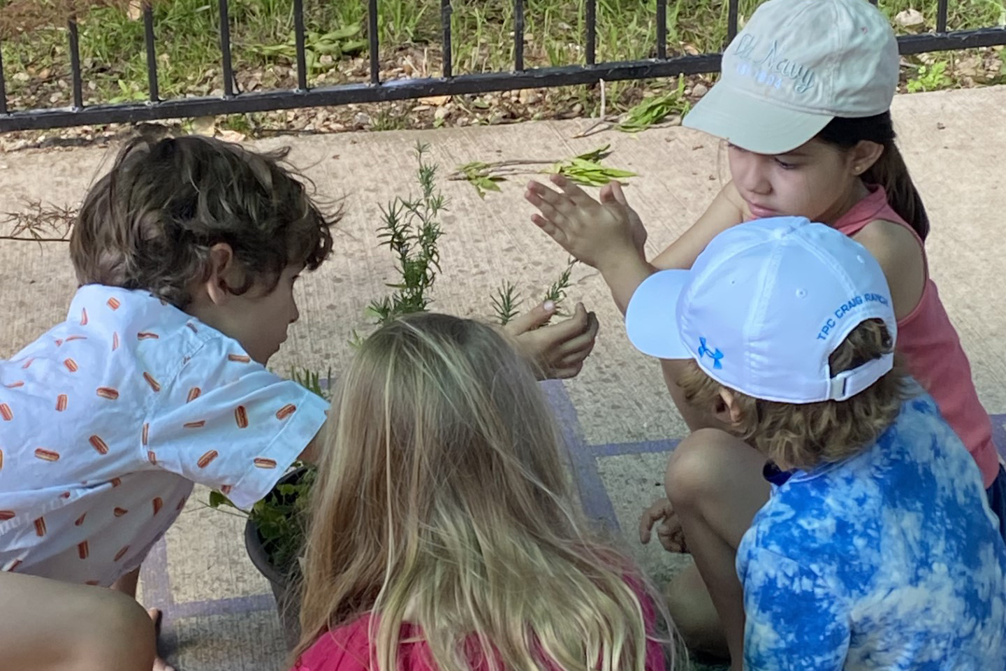 students working with a plant outside